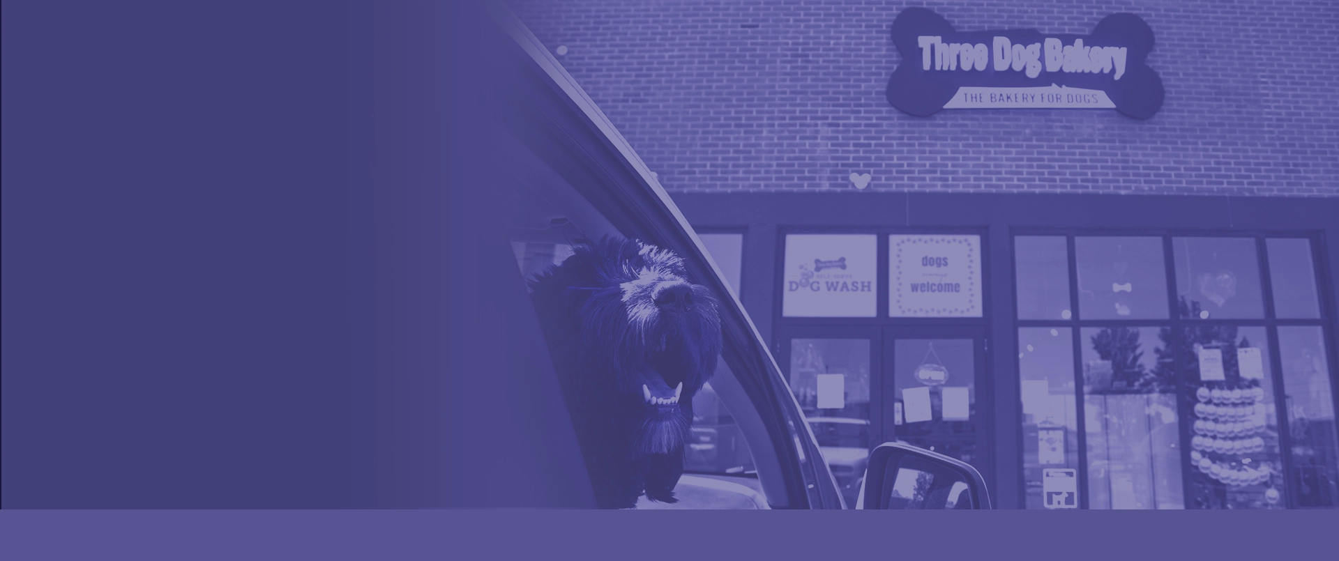 Visit the Mechanicsburg, PA Three Dog Bakery - The Bakery for Dogs